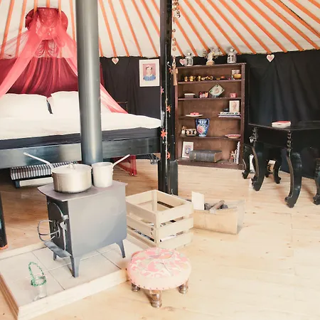 Baby Moon 2* Wilton (North Yorkshire)